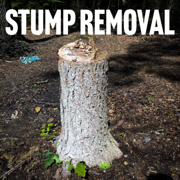 Stump Removal