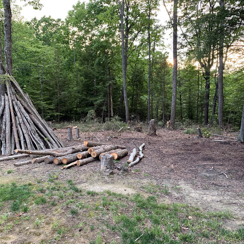 Podcast #24: Epic failure in gardening - but we have to start somewhere.