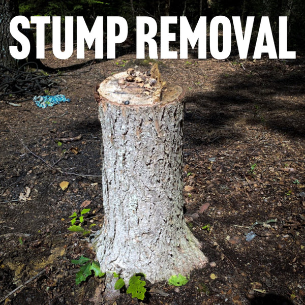 Tree And Stump Removal
