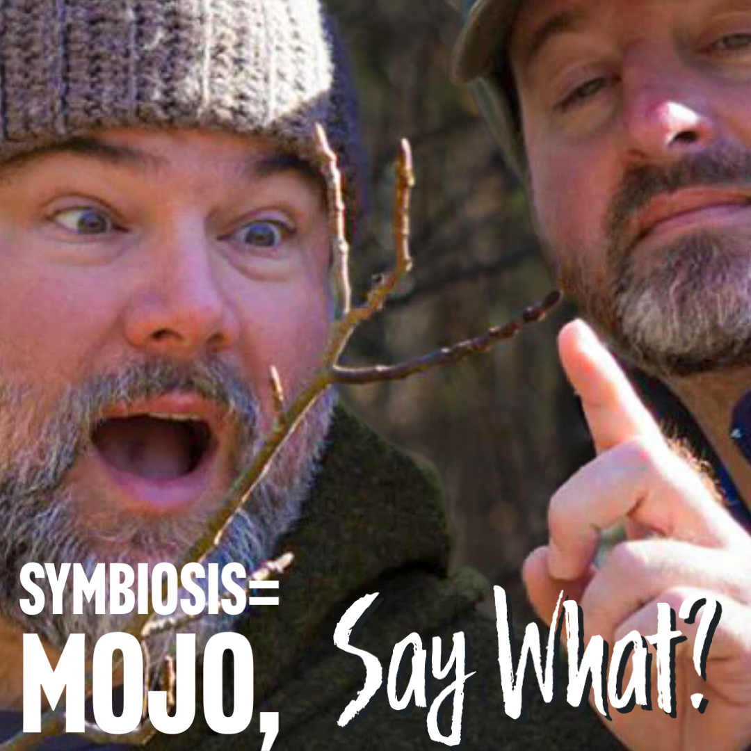 Symbiosis=Mojo, Say What? - Nature Reliance