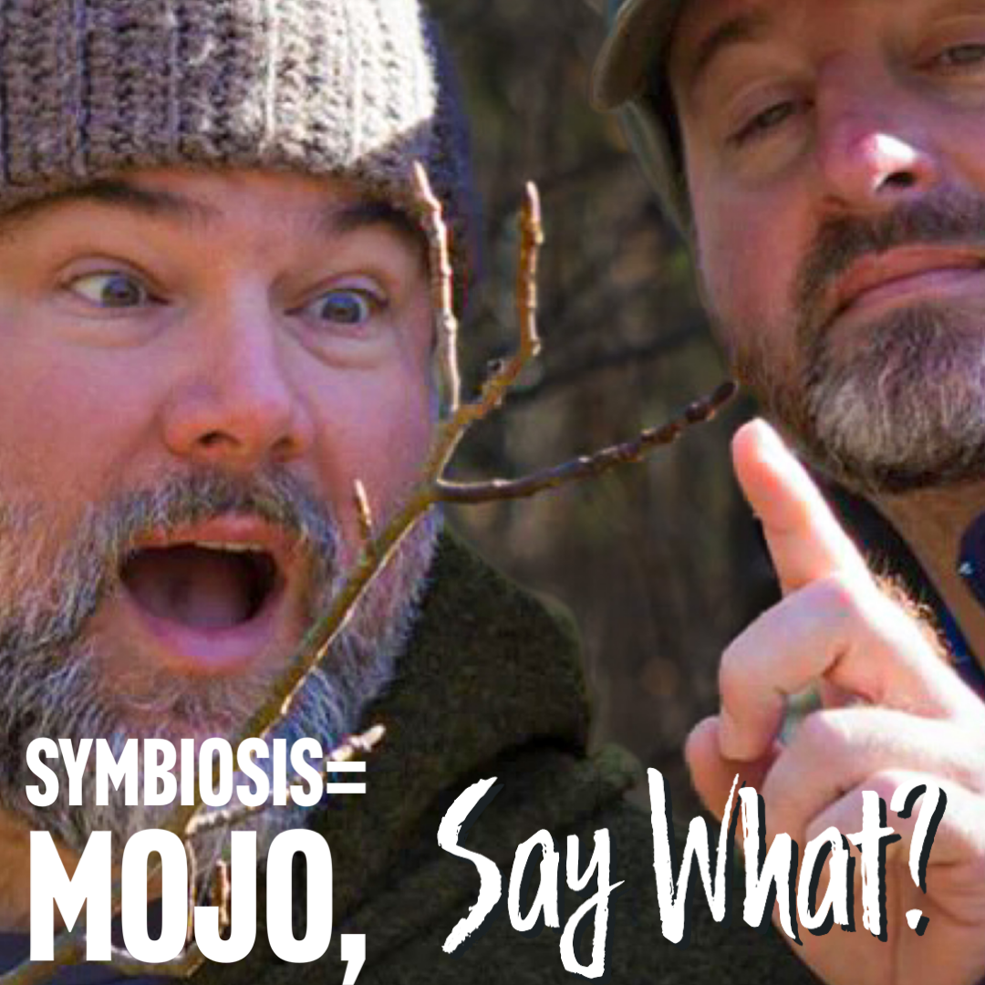 Symbiosis=Mojo, Say What?