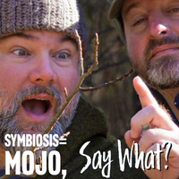 Symbiosis=Mojo, Say What?