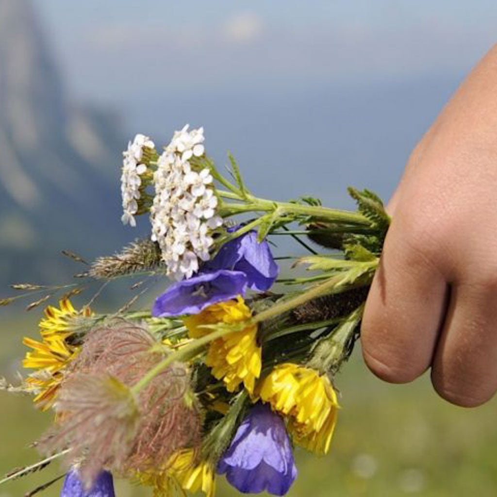 Top 5 Tips for Summertime Hiking Safety