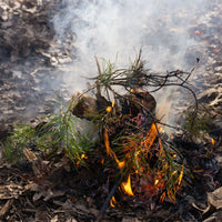 Four Most Useful Fire Starting Methodologies