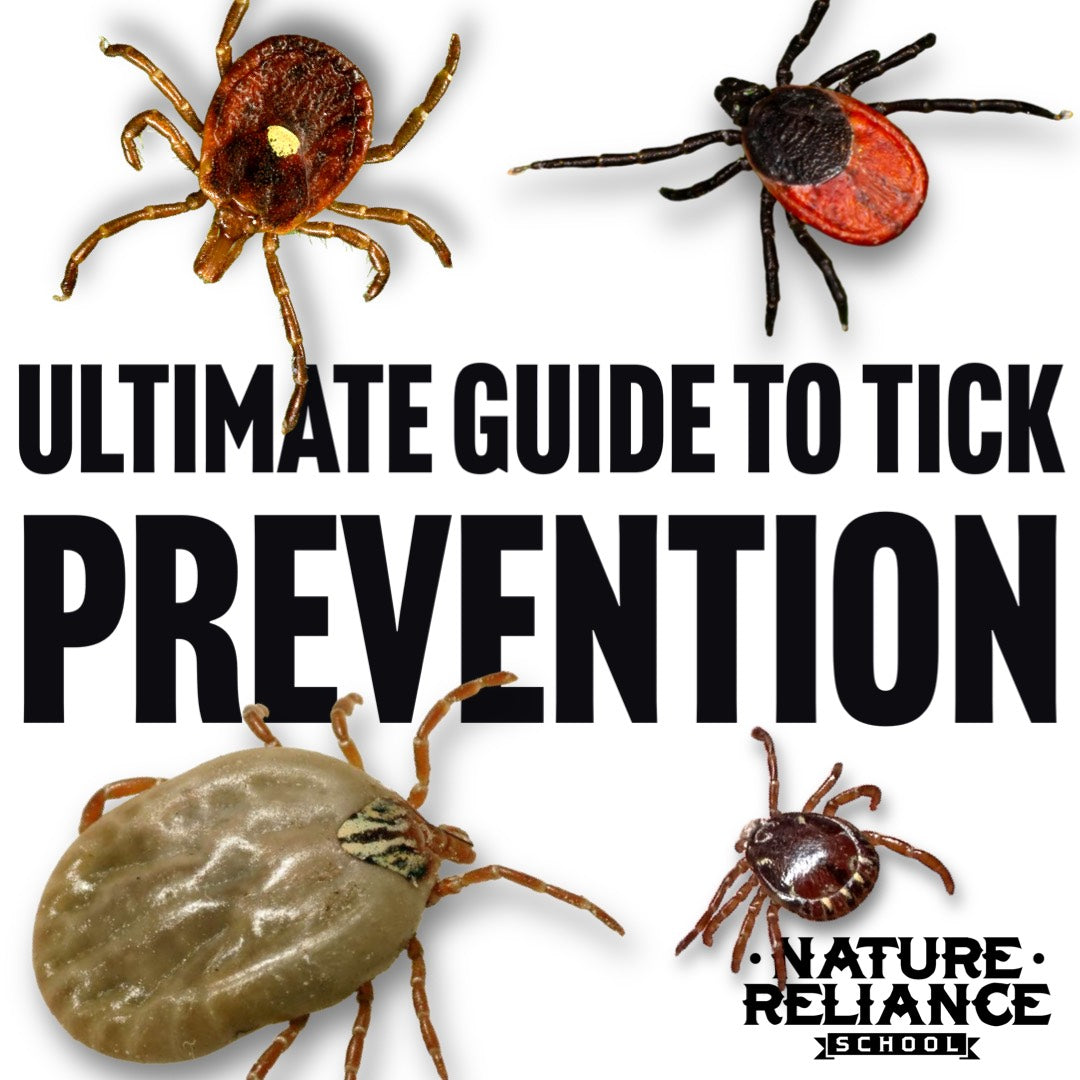 Ultimate Guide to Tick Prevention: Tips and Expert Advice from The Tic ...