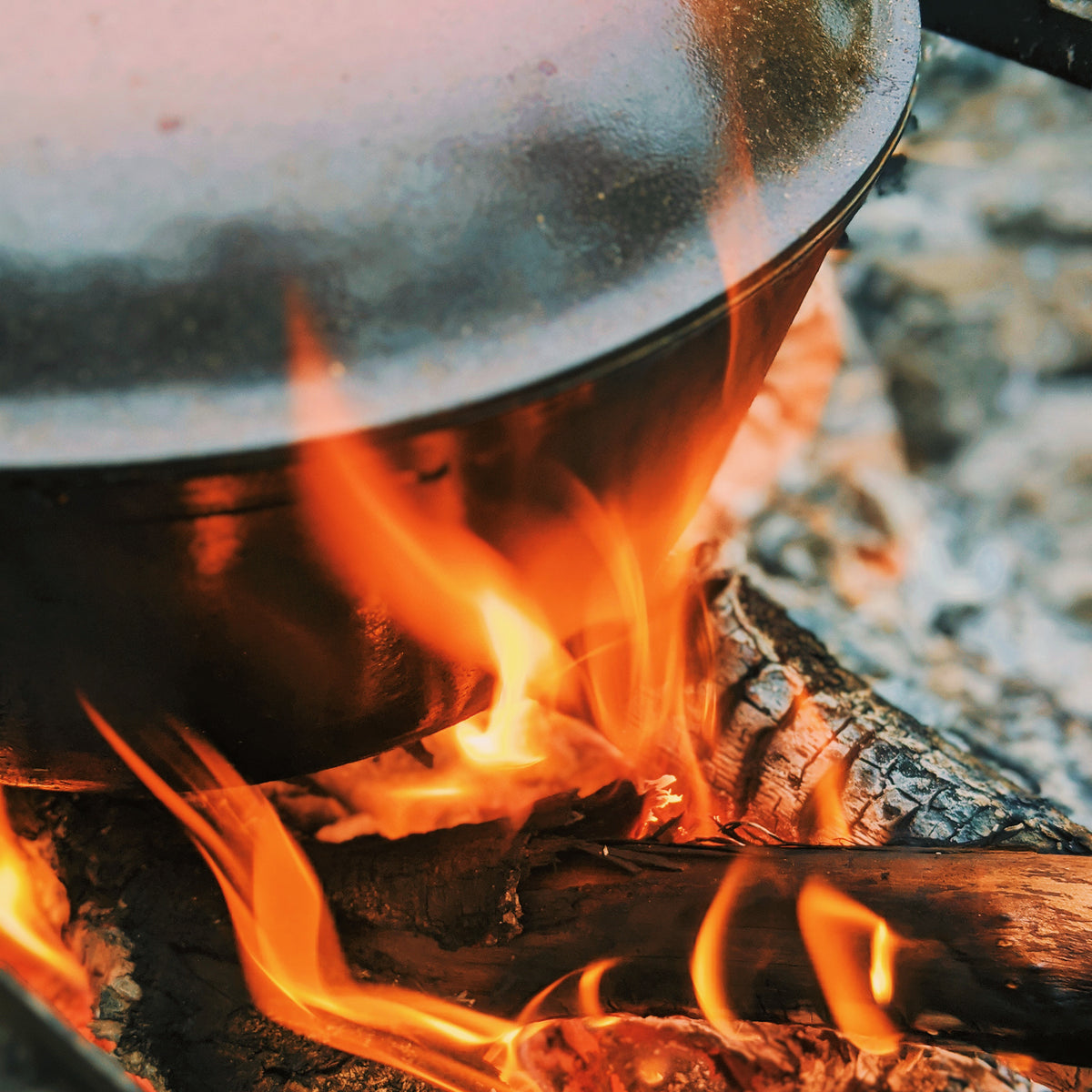 Outdoor Cooking - One Day